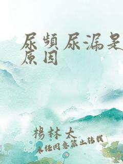 尿频尿漏是什么原因