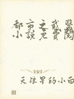 都市之武医风流小说免费阅读