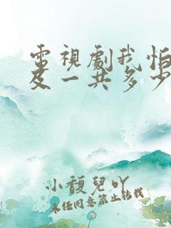 电视剧我怕来不及一共多少集