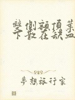 双侧额顶叶皮层下散在缺血灶