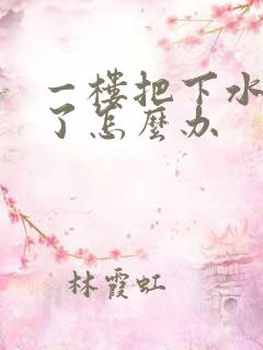 一楼把下水道堵了怎么办