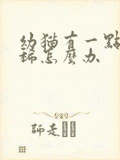 幼猫有一点点拉稀怎么办