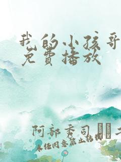 我的小孩哥电影免费播放