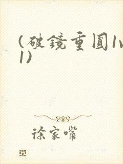 (破镜重圆1v1)