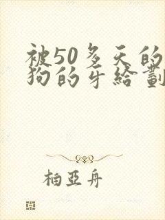 被50多天的小狗的牙给划伤了