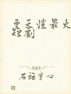 曹天恺最火十部短剧