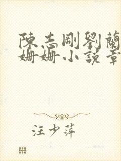 陈志刚刘兰芳刘姗姗小说章节更新白