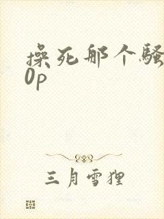 操死那个骚货20p