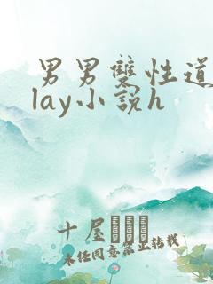 男男双性道具play小说h