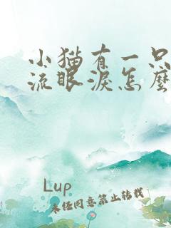 小猫有一只眼睛流眼泪怎么回事