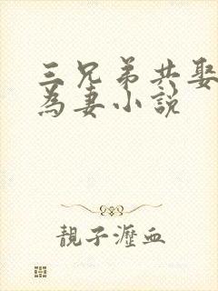 三兄弟共娶一女为妻小说