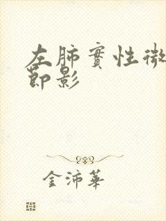 左肺实性微小结节影