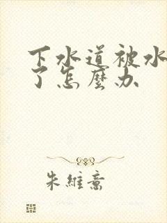 下水道被水泥堵了怎么办