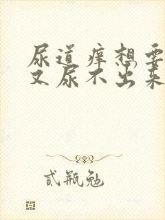 尿道痒想要尿尿又尿不出来