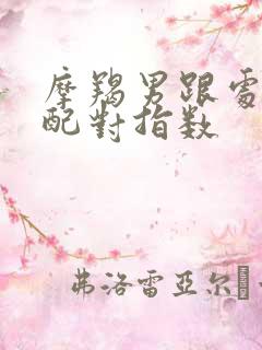 摩羯男跟处女女配对指数