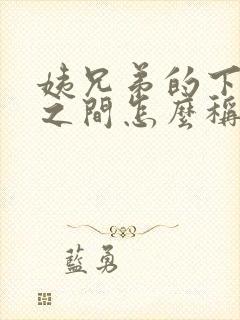 姨兄弟的下一代之间怎么称呼