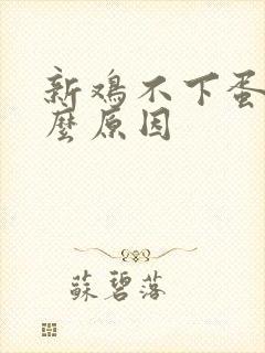 新鸡不下蛋是什么原因