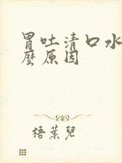 胃吐清口水是什么原因