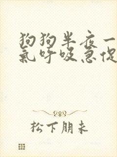 狗狗半夜一直喘气呼吸急促