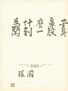 为什么鼻子总是闻到一股臭味