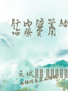 肝内胆管结石的治疗费用