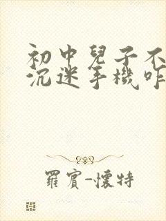 初中儿子不爱学沉迷手机咋办