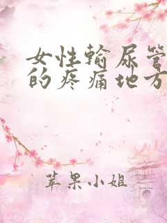 女性输尿管结石的疼痛地方