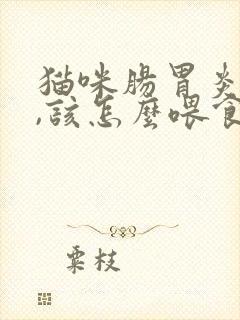 猫咪肠胃炎好了,该怎么喂食