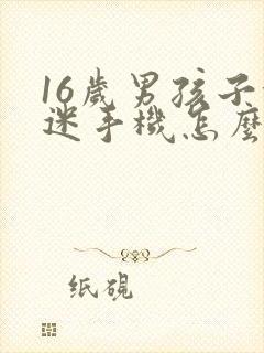 16岁男孩子沉迷手机怎么办