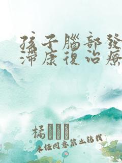 孩子脑部发育迟滞康复治疗