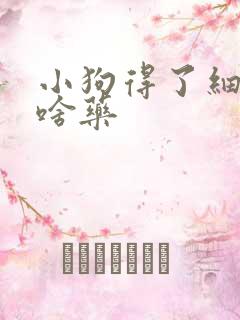 小狗得了细小用啥药