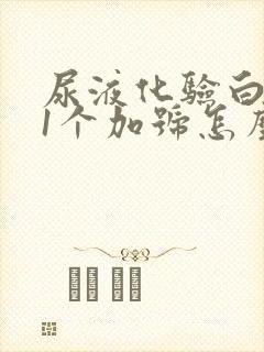 尿液化验白细胞1个加号怎么回事