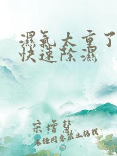 湿气太重了如何快速除湿