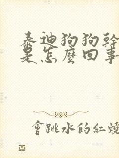 泰迪狗狗干呕吐是怎么回事