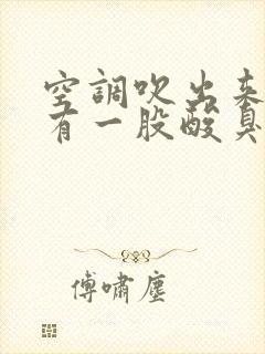 空调吹出来的风有一股酸臭味