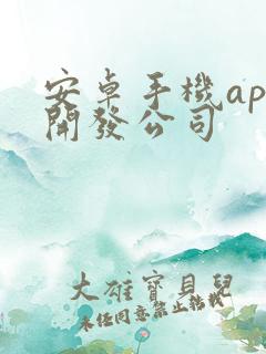 安卓手机app开发公司