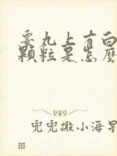 睾丸上有白色的颗粒是怎么回事