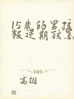 15岁的男孩子叛逆期该怎么沟通