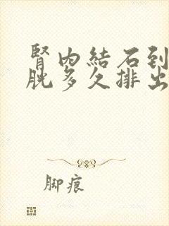 肾内结石到了膀胱多久排出来