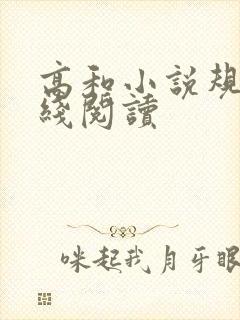 高和小说规矩在线阅读