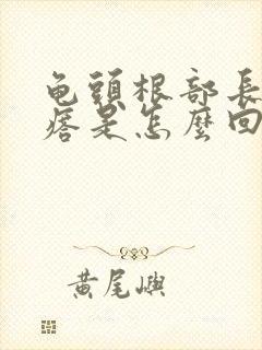 龟头根部长小疙瘩是怎么回事