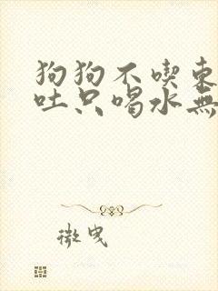 狗狗不吃东西还吐只喝水无精打采