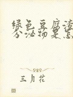 绿色豆腐渣样的分泌物是怎么回事