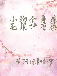 小狗全身痒又脱毛用什么药治