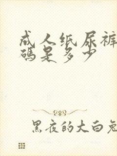 成人纸尿裤最小码是多少