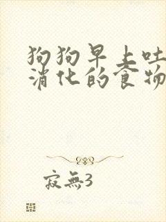 狗狗早上吐了没消化的食物