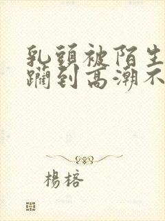 乳头被陌生人蹂躏到高潮不