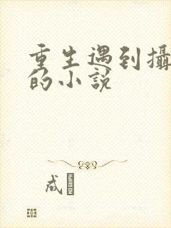 重生遇到摄政王的小说