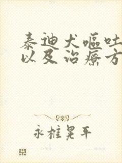 泰迪犬呕吐原因以及治疗方法