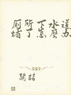 厕所下水道被鱼堵了怎么办